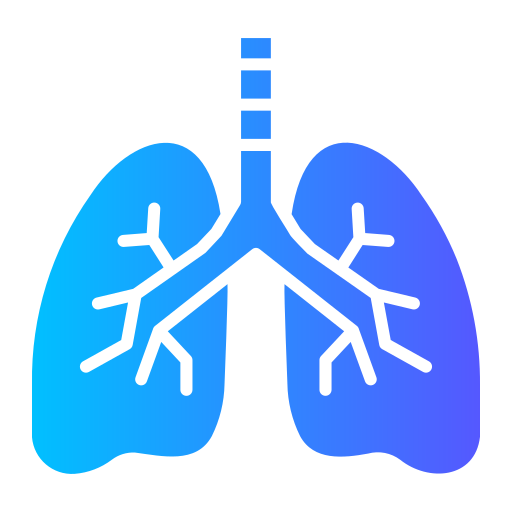 Lungs